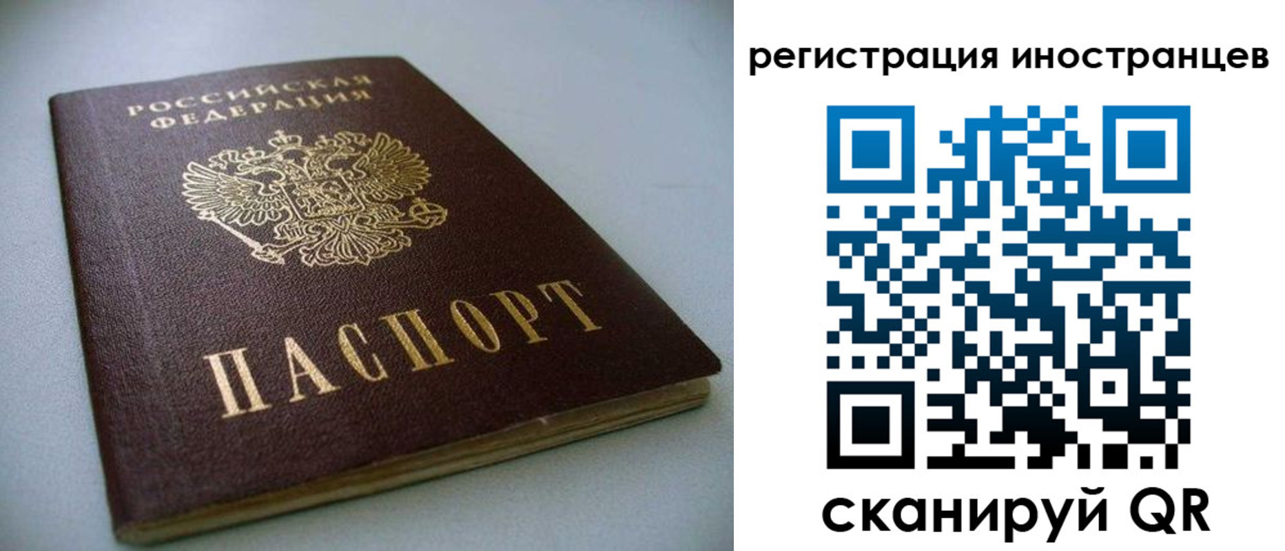 пропишу в квартире в Белгородской области